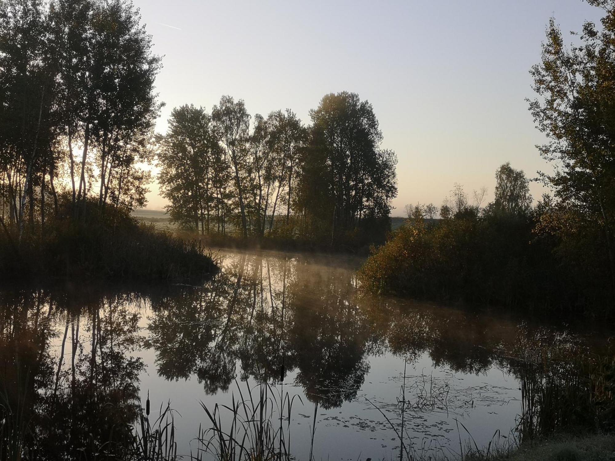 Borowy Zakatek Villa Stara Kiszewa Bagian luar foto