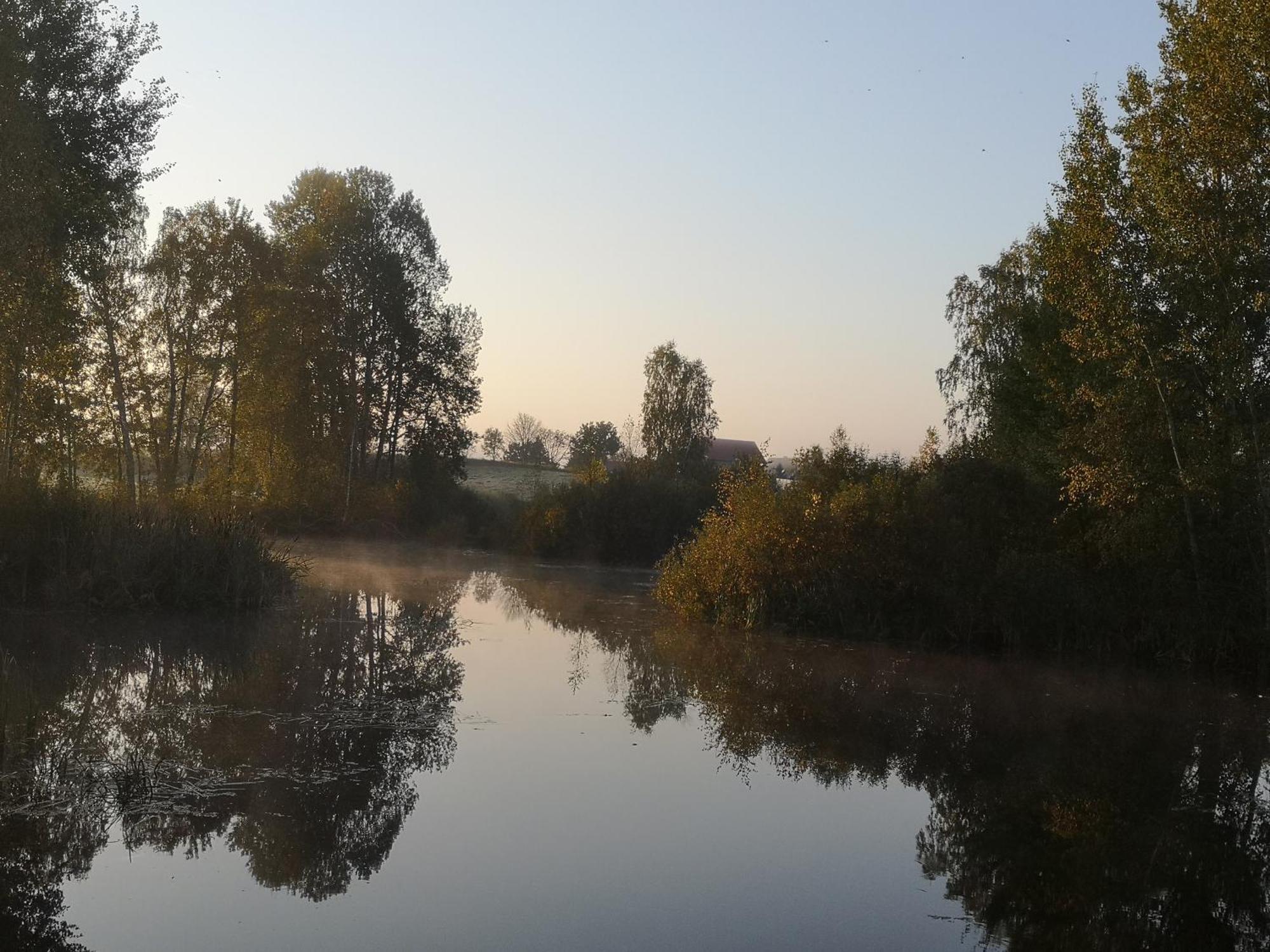 Borowy Zakatek Villa Stara Kiszewa Bagian luar foto