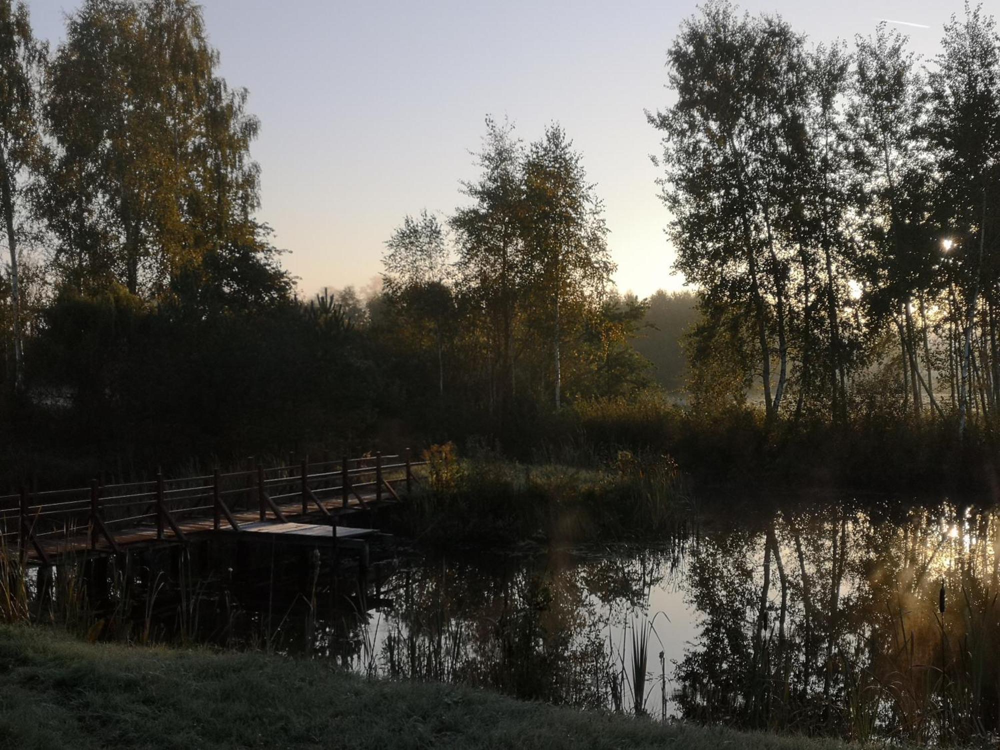 Borowy Zakatek Villa Stara Kiszewa Bagian luar foto