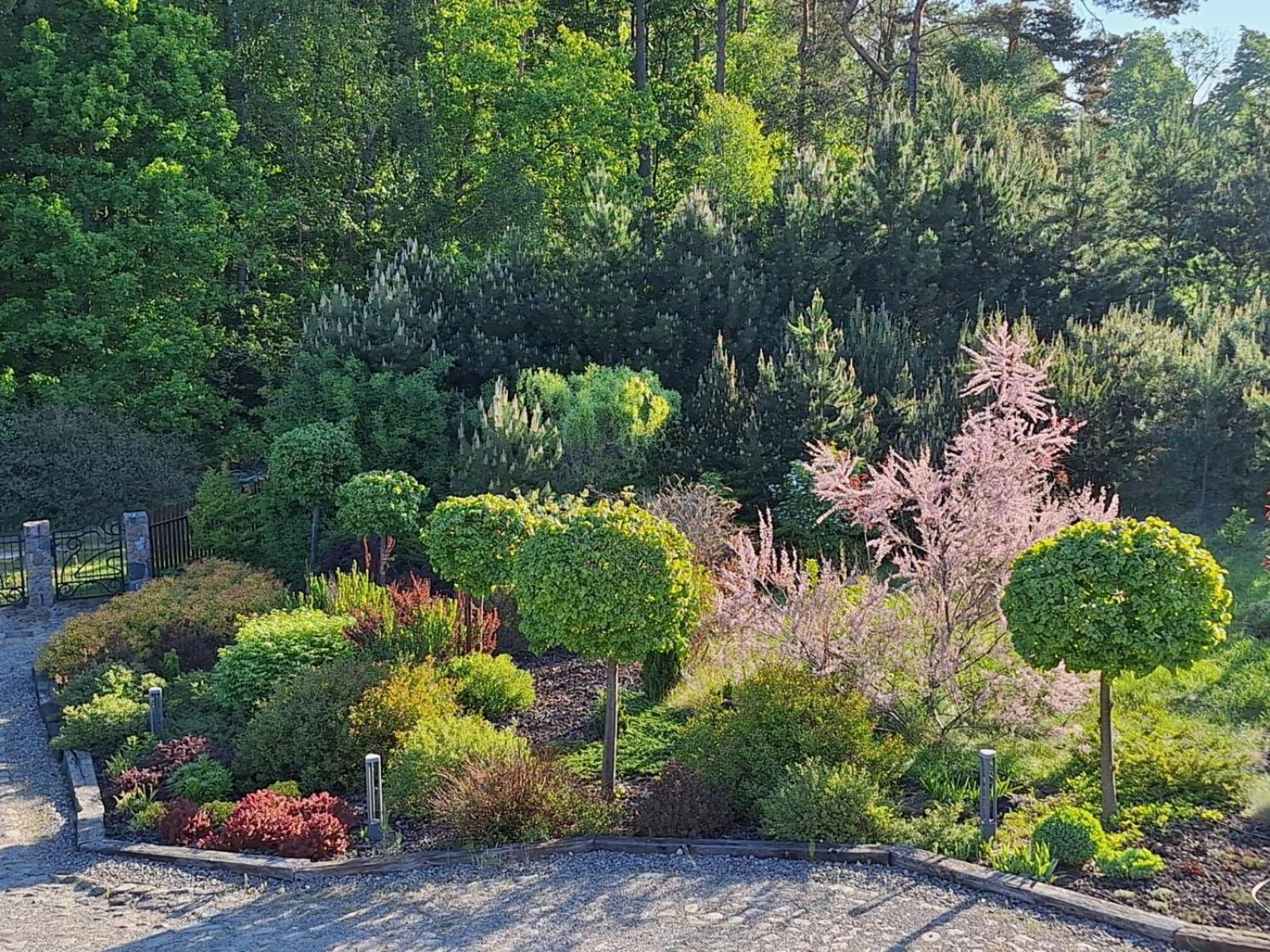 Borowy Zakatek Villa Stara Kiszewa Bagian luar foto