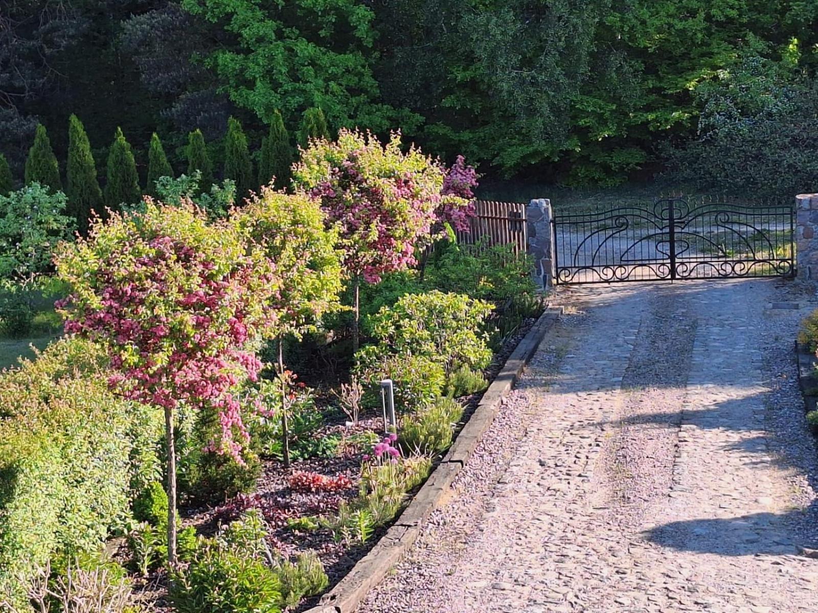 Borowy Zakatek Villa Stara Kiszewa Bagian luar foto