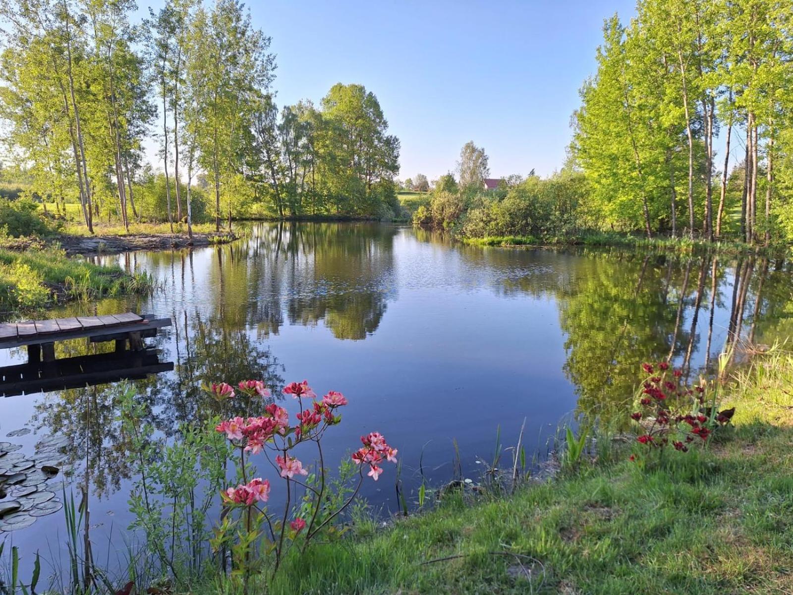 Borowy Zakatek Villa Stara Kiszewa Bagian luar foto